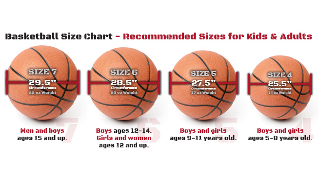 Spalding Basketball Size Chart